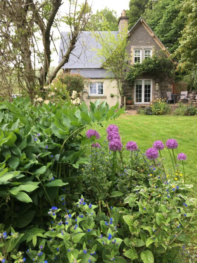 Willowherb And Foxglove Cottages Хоик Экстерьер фото